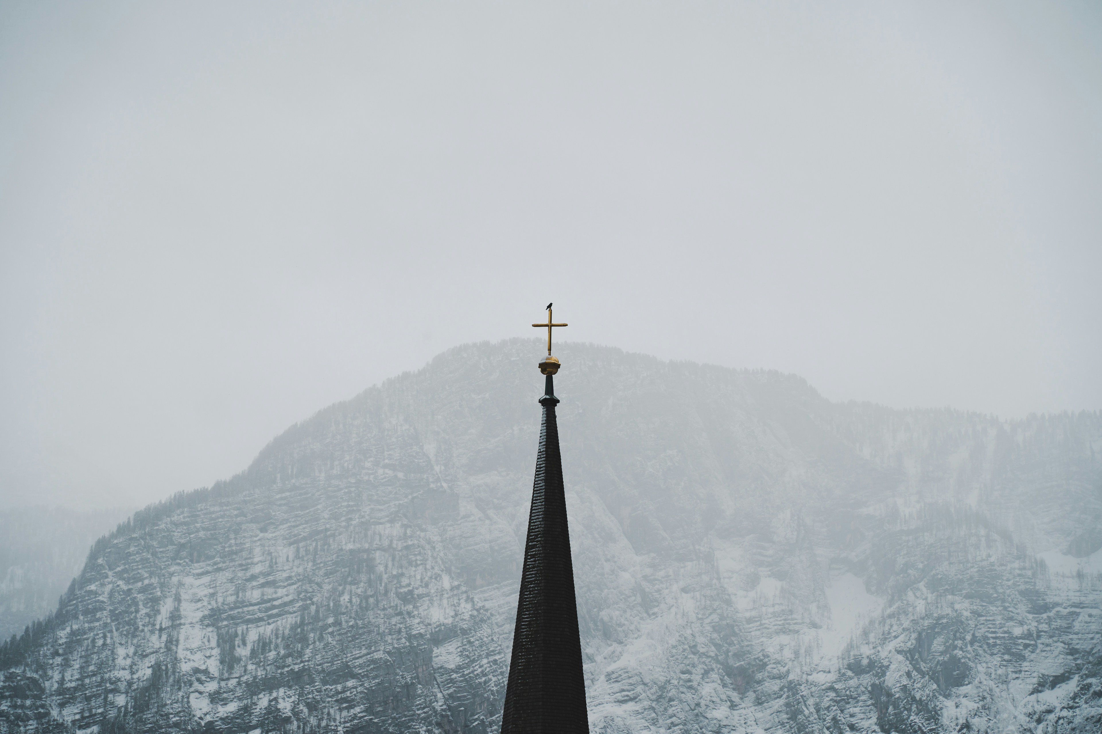 Image ALT